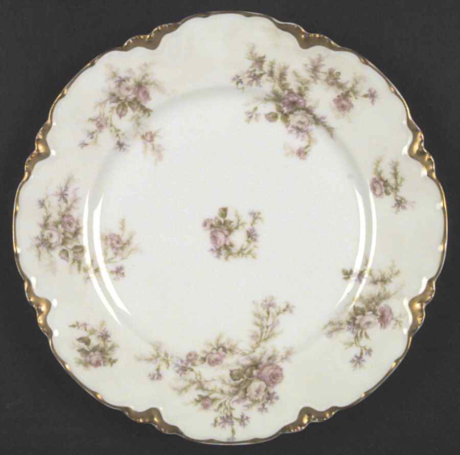 Schleiger 53F Salad Plate by Haviland-1