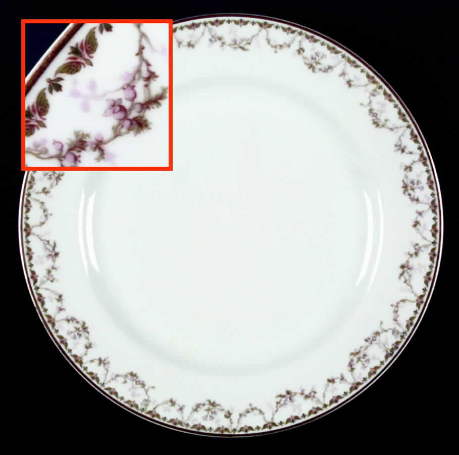 Schleiger 544 Dinner Plate by Haviland-1