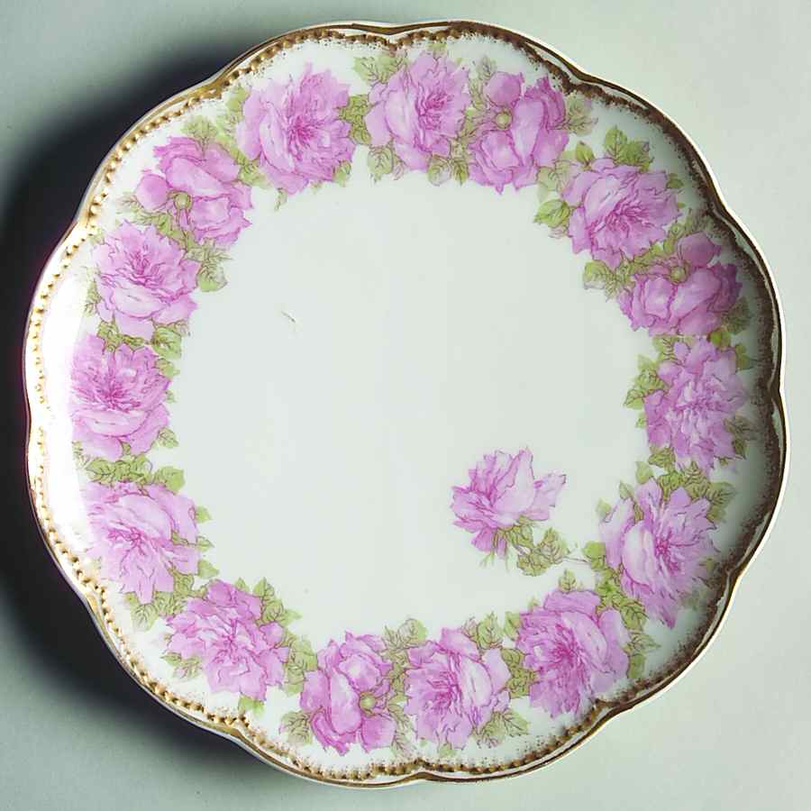 Schleiger 55 Coupe Salad Plate by Haviland-1