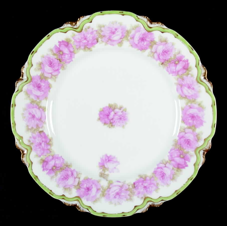 Schleiger 55G Dinner Plate by Haviland-1