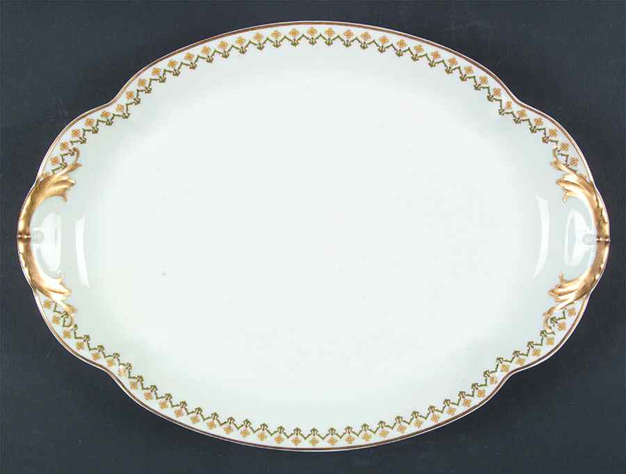 Schleiger 570 14" Oval Serving Platter by Haviland-1