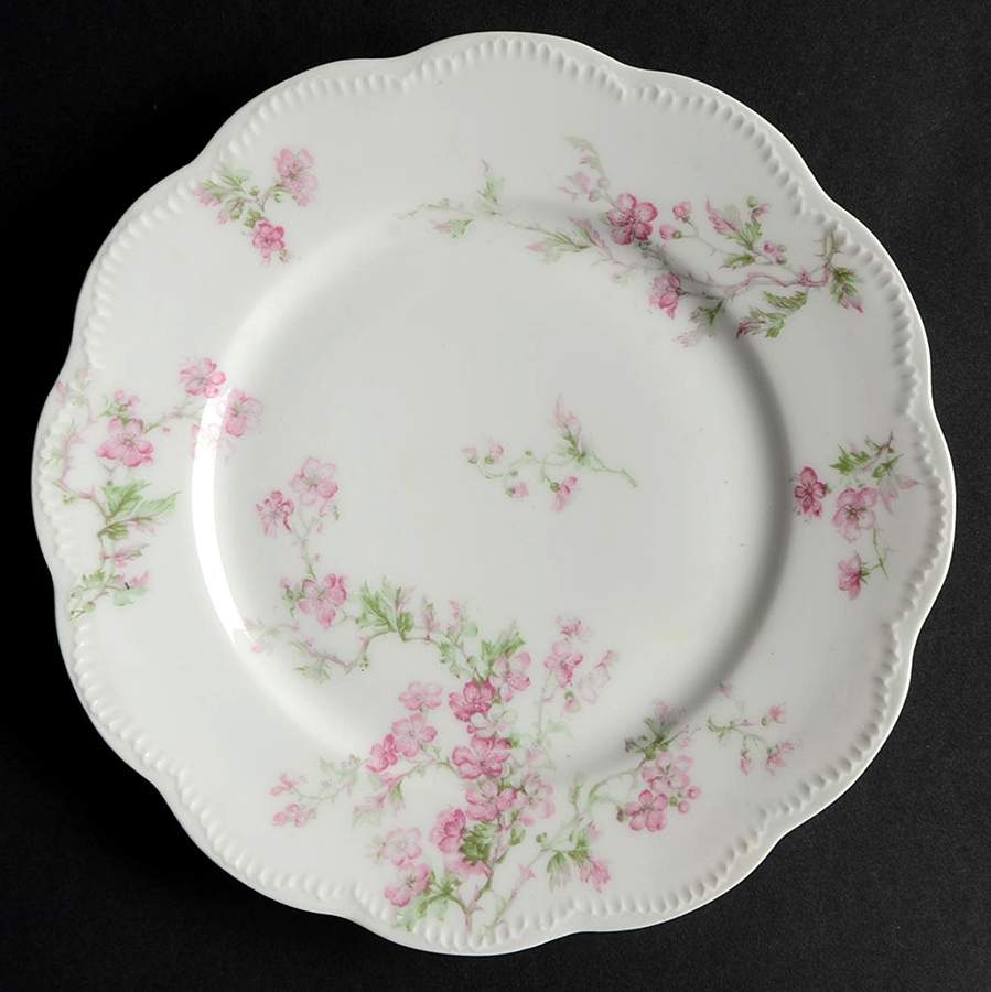 Schleiger 58A Salad Plate by Haviland-1