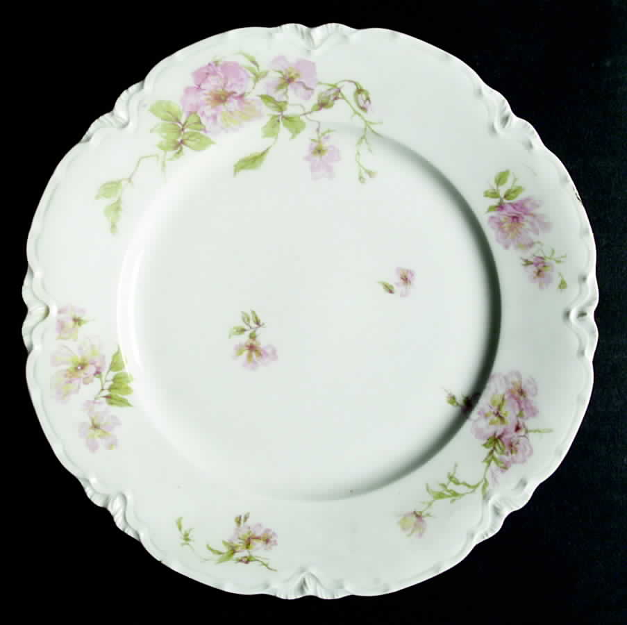 Schleiger 59 Dinner Plate by Haviland-1