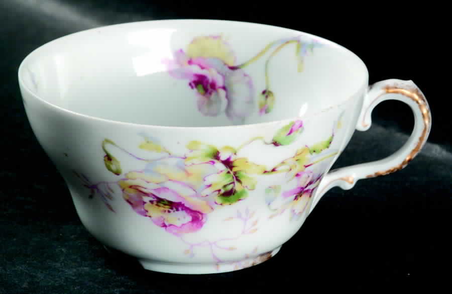Schleiger 607c Flat Cup by Haviland-1
