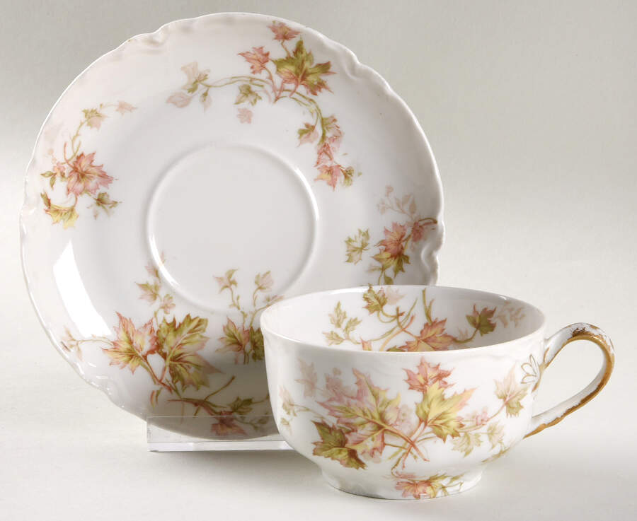 Schleiger 60A Flat Cup & Saucer Set by Haviland-1