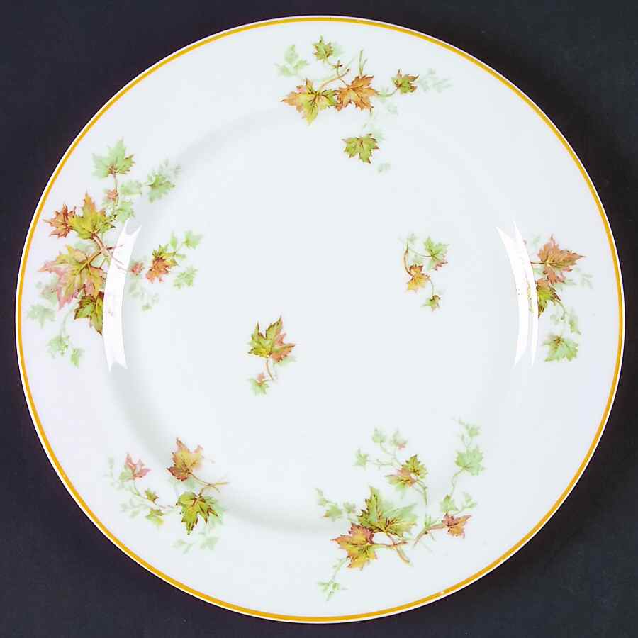 Schleiger 60B Dinner Plate by Haviland-1