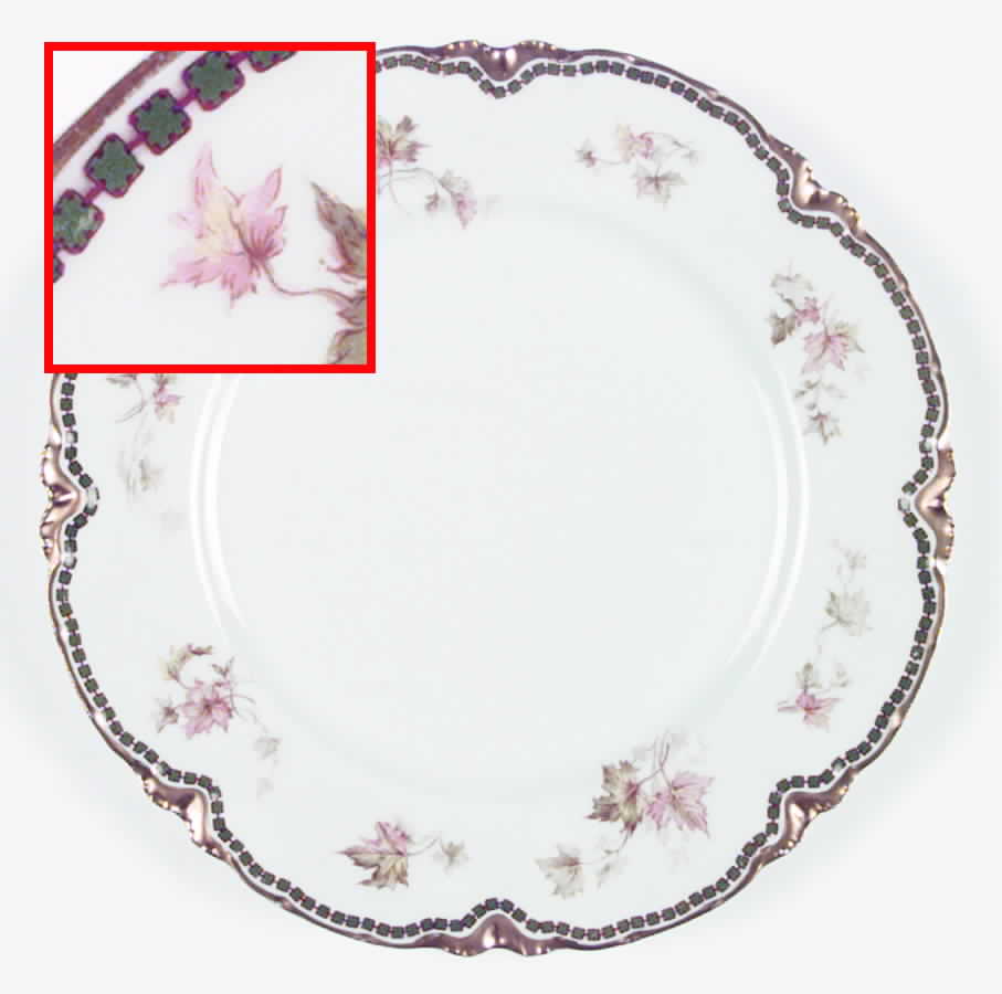 Schleiger 60c Dinner Plate by Haviland-1