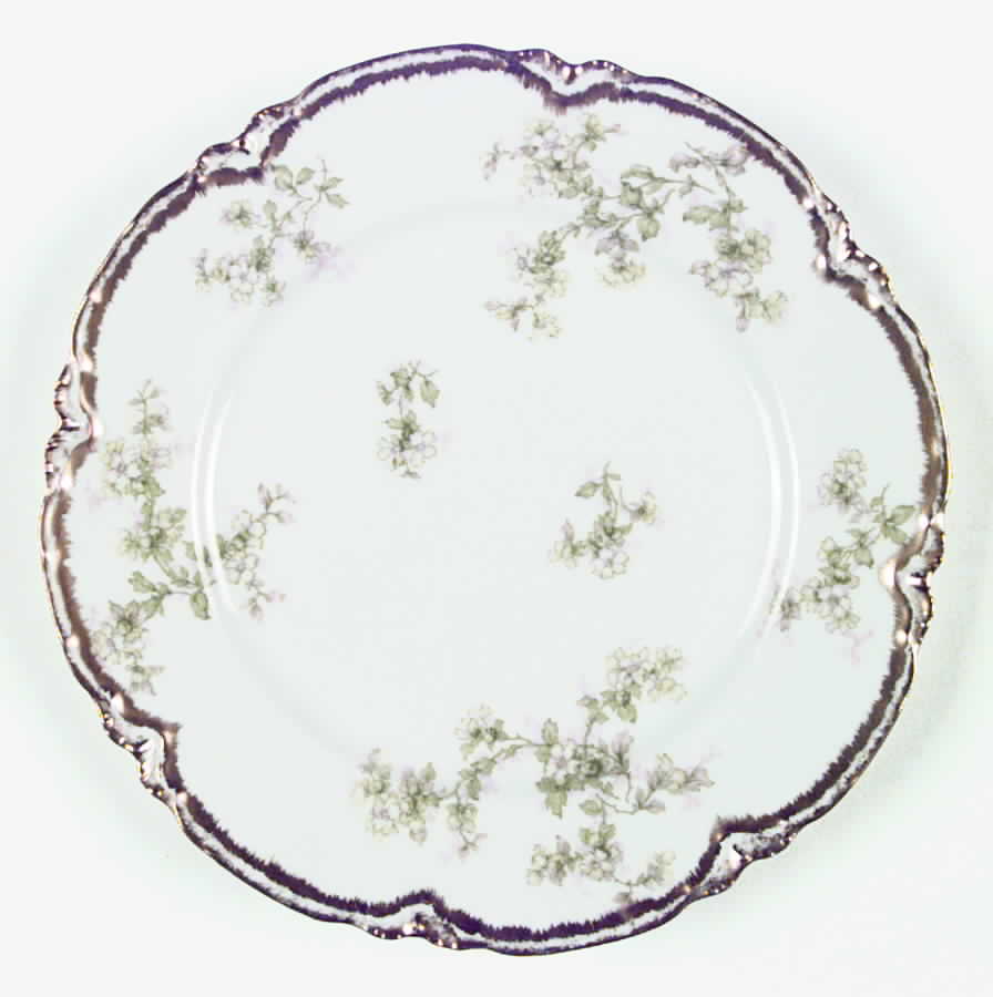 Schleiger 61G Dinner Plate by Haviland-1