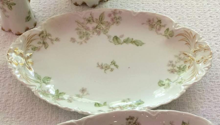 Schleiger 62 Relish by Haviland-1