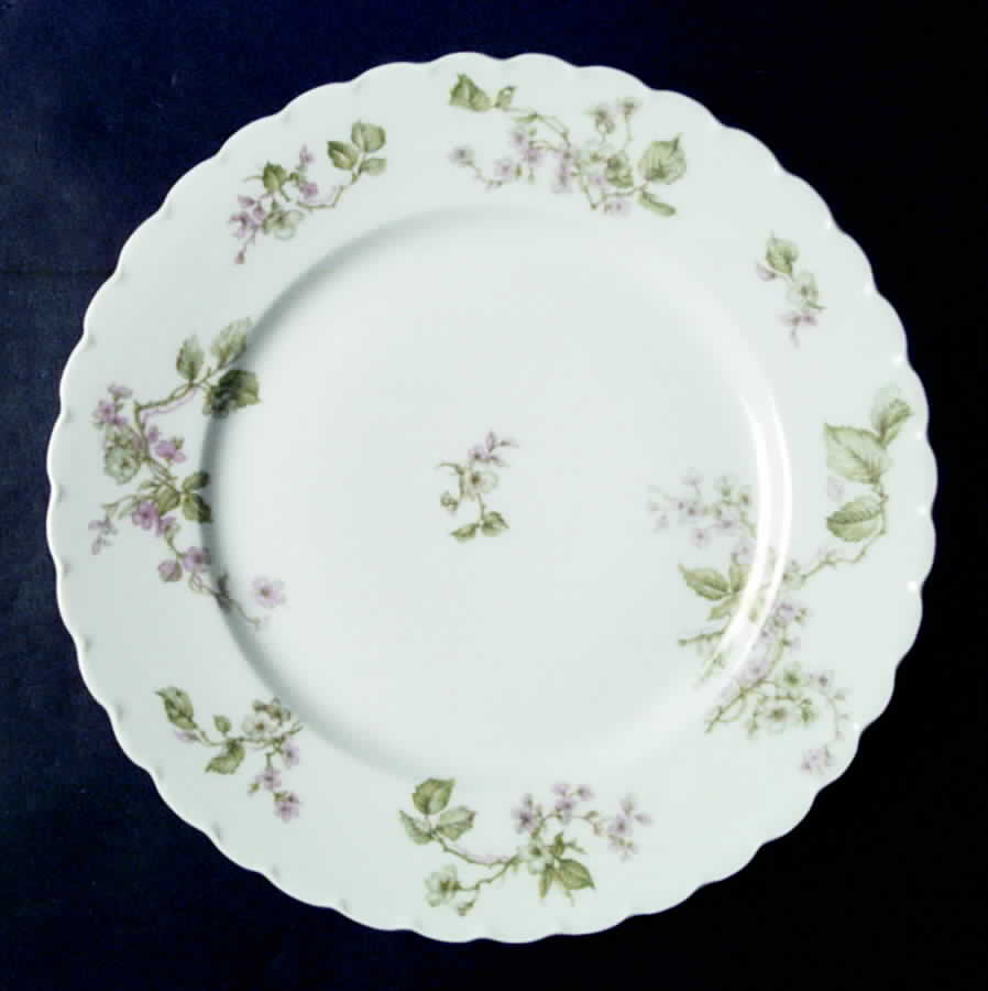 Schleiger 62g Dinner Plate by Haviland-1