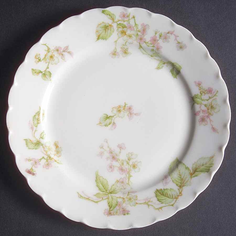 Schleiger 62g Bread & Butter Plate by Haviland-1