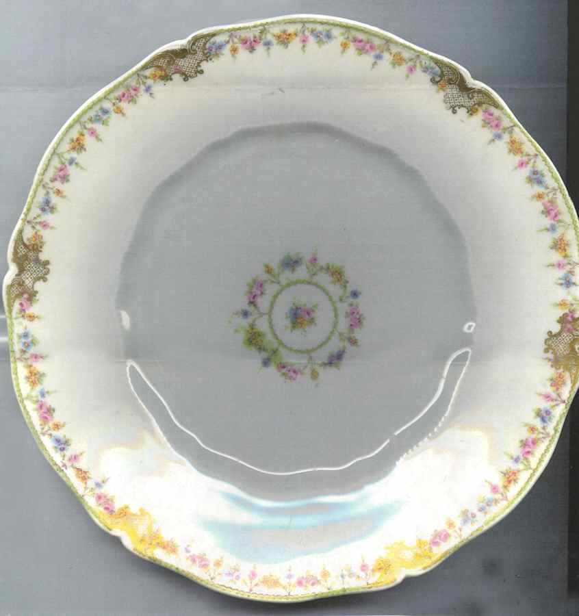 Schleiger 630e Dinner Plate by Haviland-1