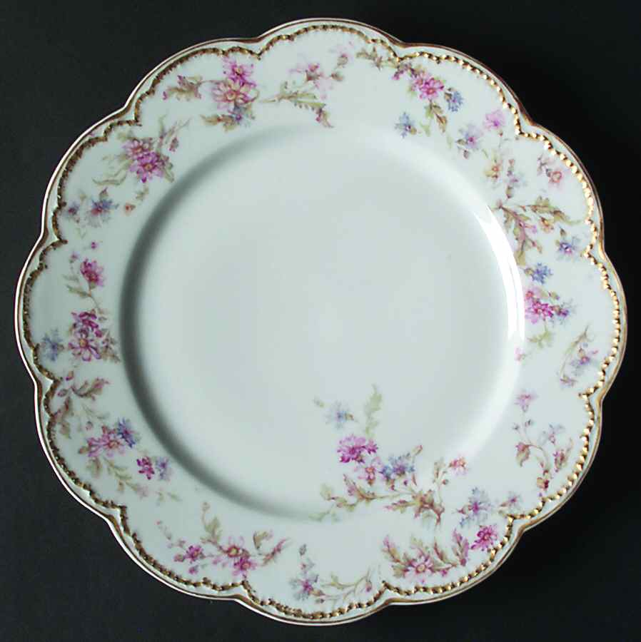 Schleiger 659A Dinner Plate by Haviland-1
