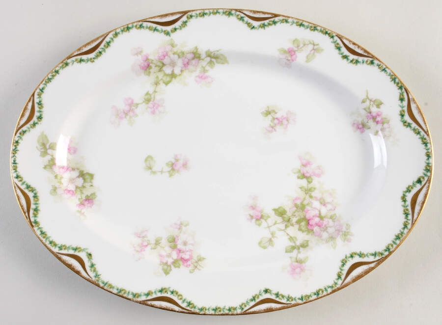 Schleiger 66 14" Oval Serving Platter by Haviland-1