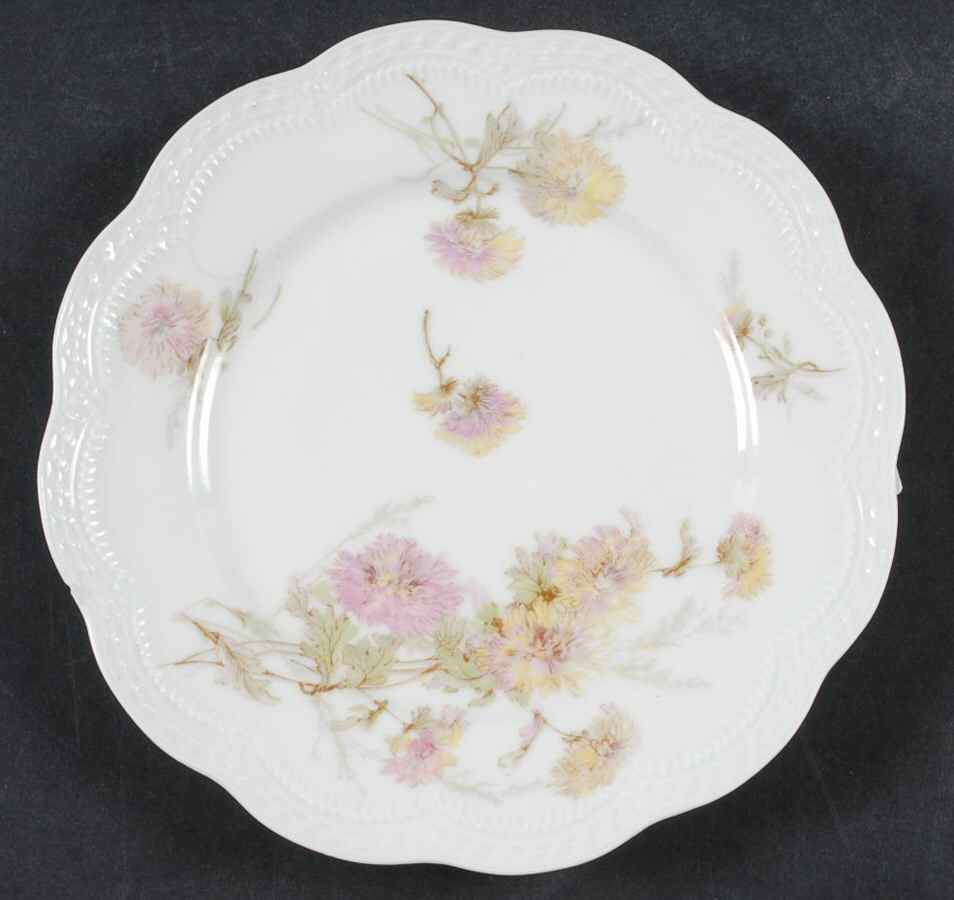 Schleiger 664b Salad Plate by Haviland-1