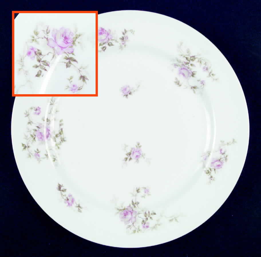 Schleiger 666 Dinner Plate by Haviland-1