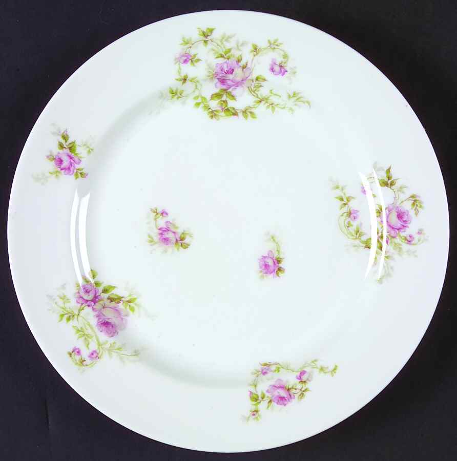 Schleiger 666 Luncheon Plate by Haviland-1