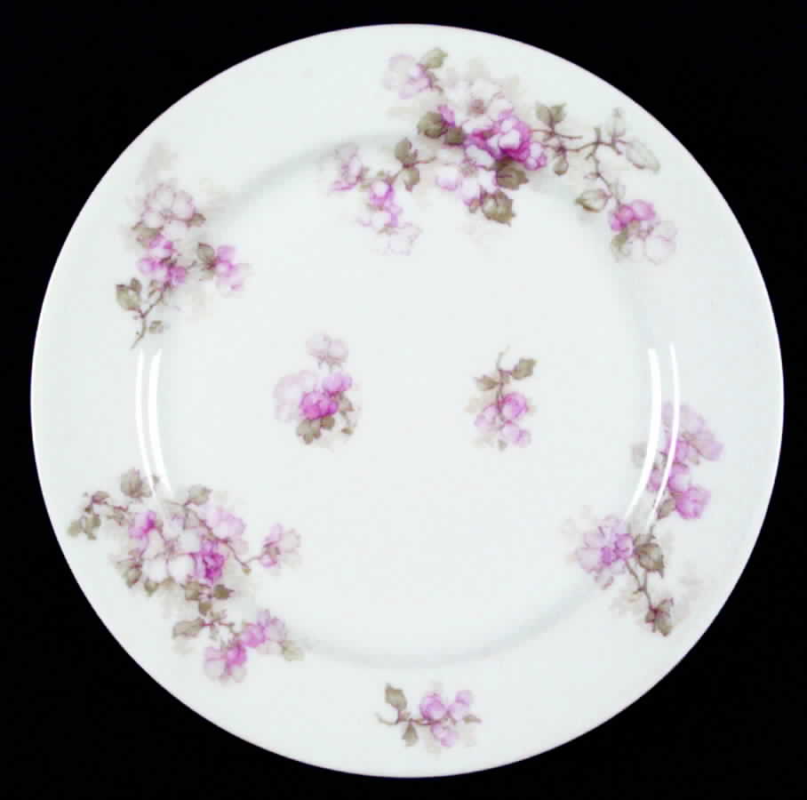 Schleiger 66b Dinner Plate by Haviland-1