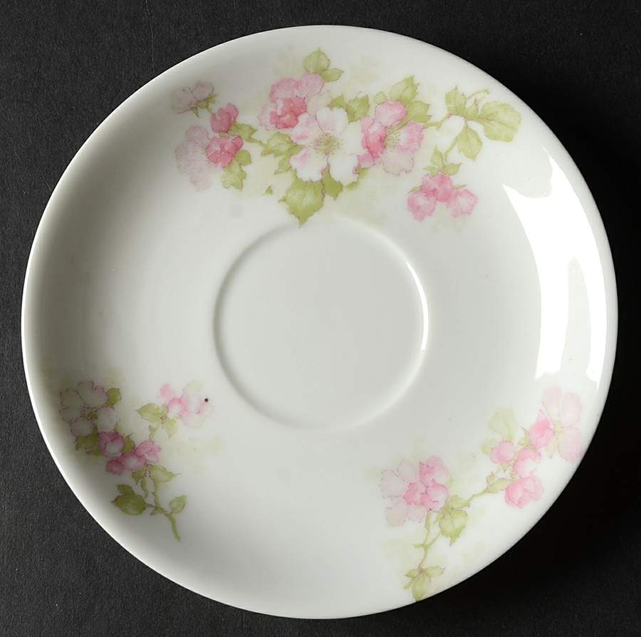 Schleiger 66b Saucer by Haviland-1