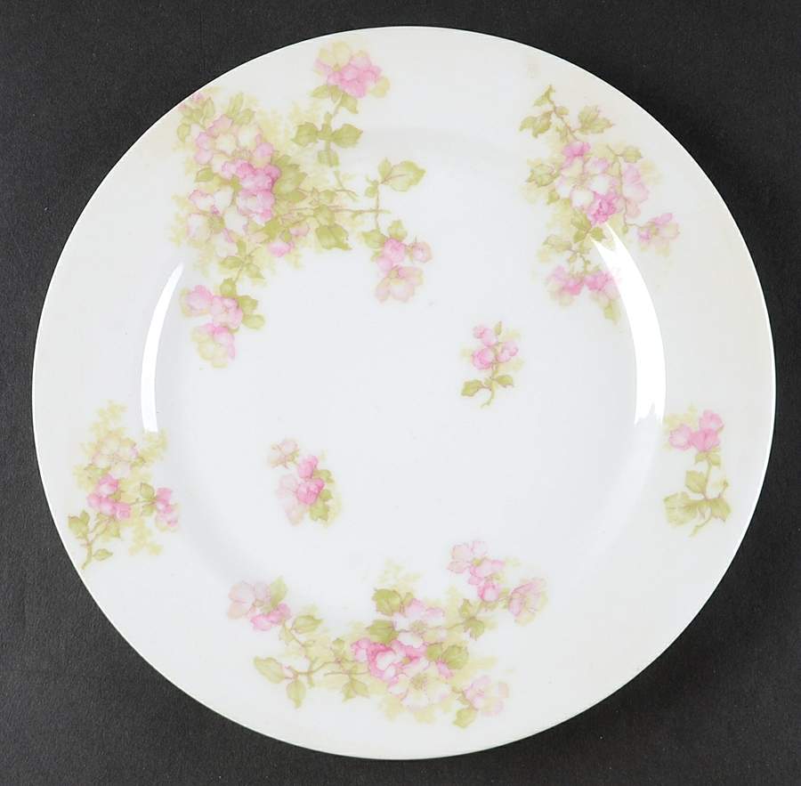 Schleiger 66b Luncheon Plate by Haviland-1
