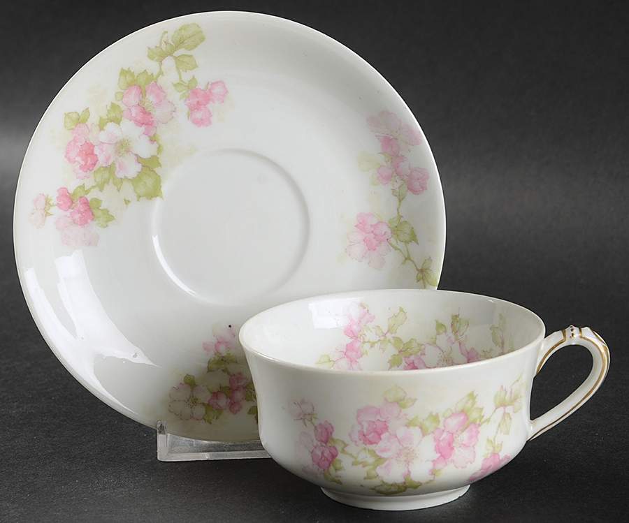 Schleiger 66b Flat Cup & Saucer Set by Haviland-1