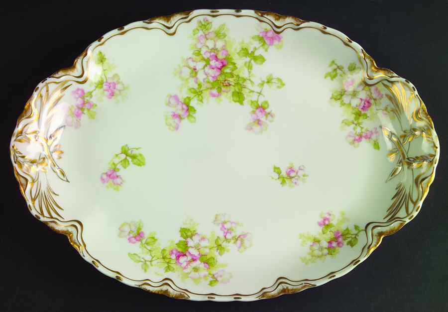 Schleiger 66d 11" Oval Serving Platter by Haviland-1