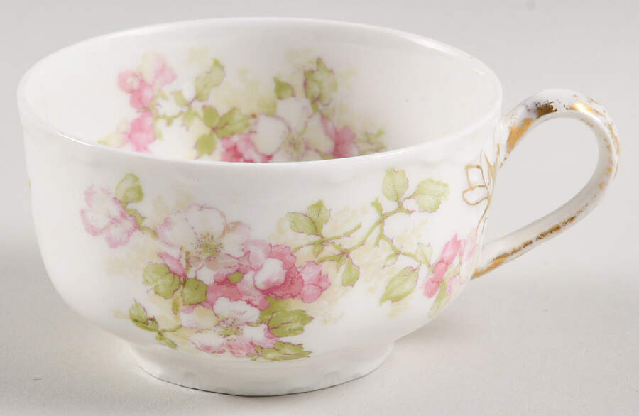 Schleiger 66E Flat Cup by Haviland-1