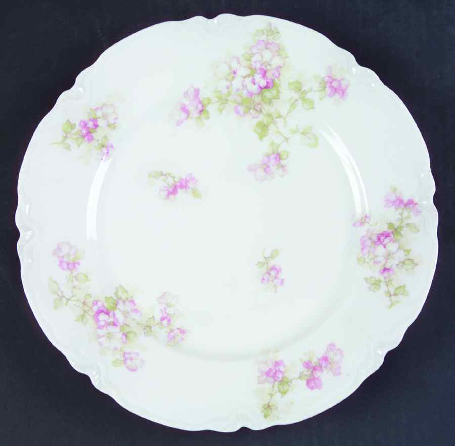 Schleiger 66E Dinner Plate by Haviland-1