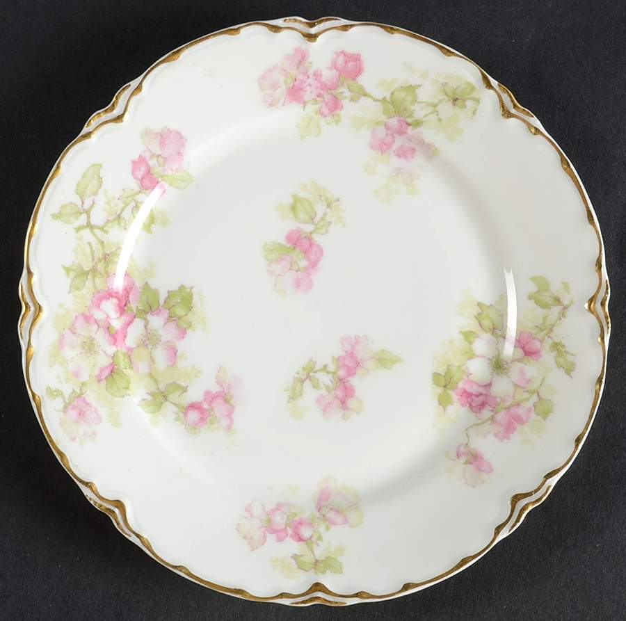 Schleiger 66G Bread & Butter Plate by Haviland-1