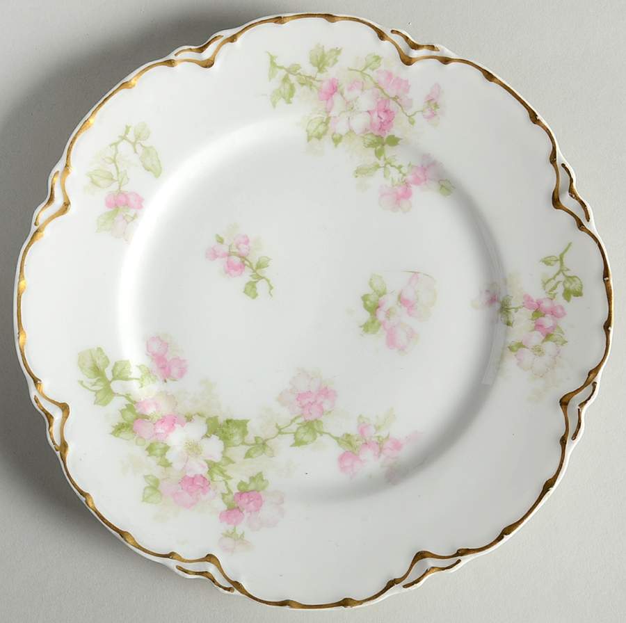 Schleiger 66G Salad Plate by Haviland-1