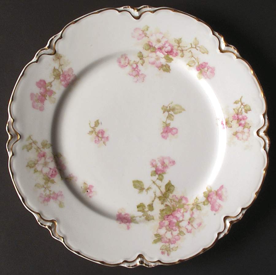 Schleiger 66G Dinner Plate by Haviland-1