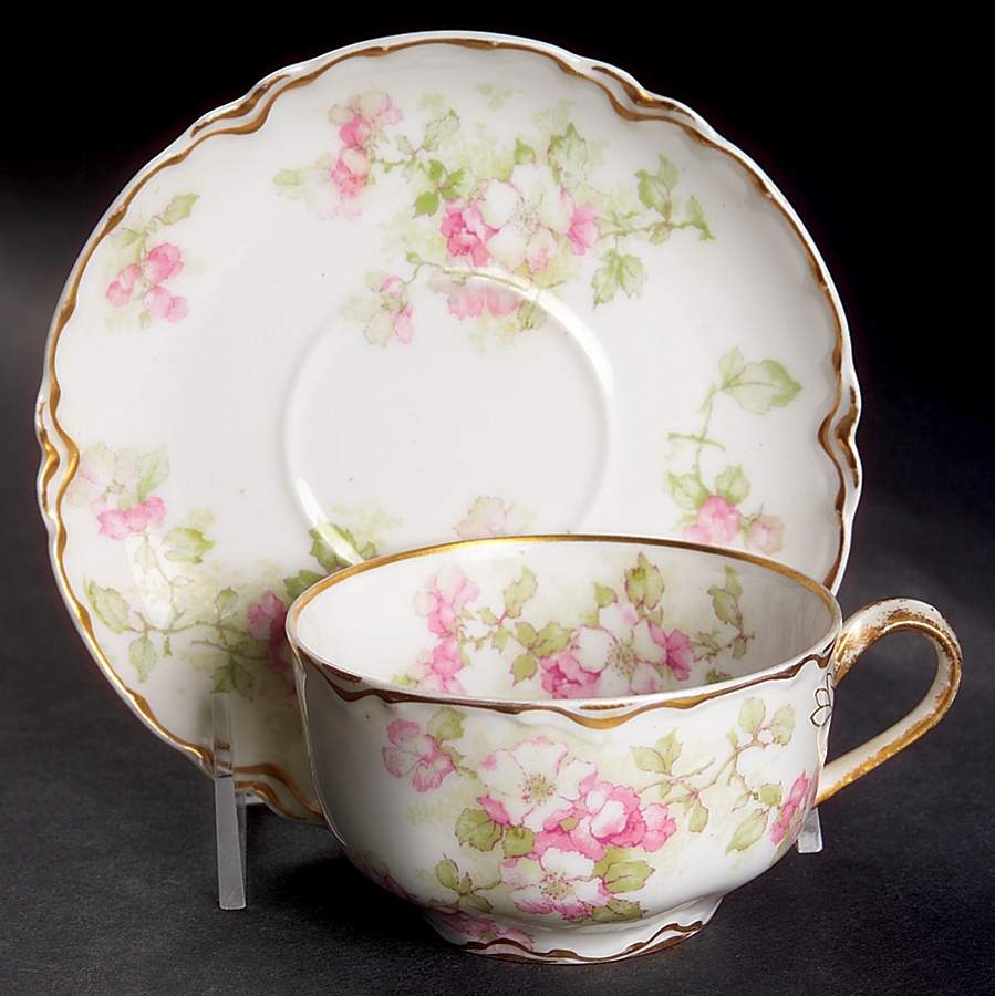 Schleiger 66G Flat Cup & Saucer Set by Haviland-1