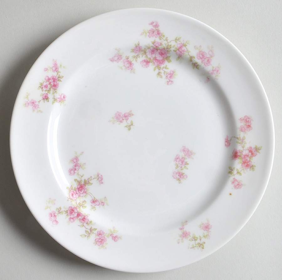 Schleiger 67b Salad Plate by Haviland-1