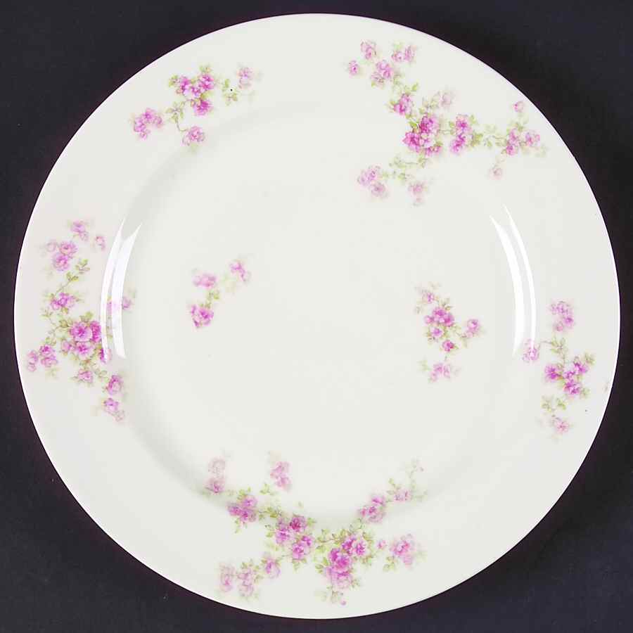 Schleiger 67b Dinner Plate by Haviland-1