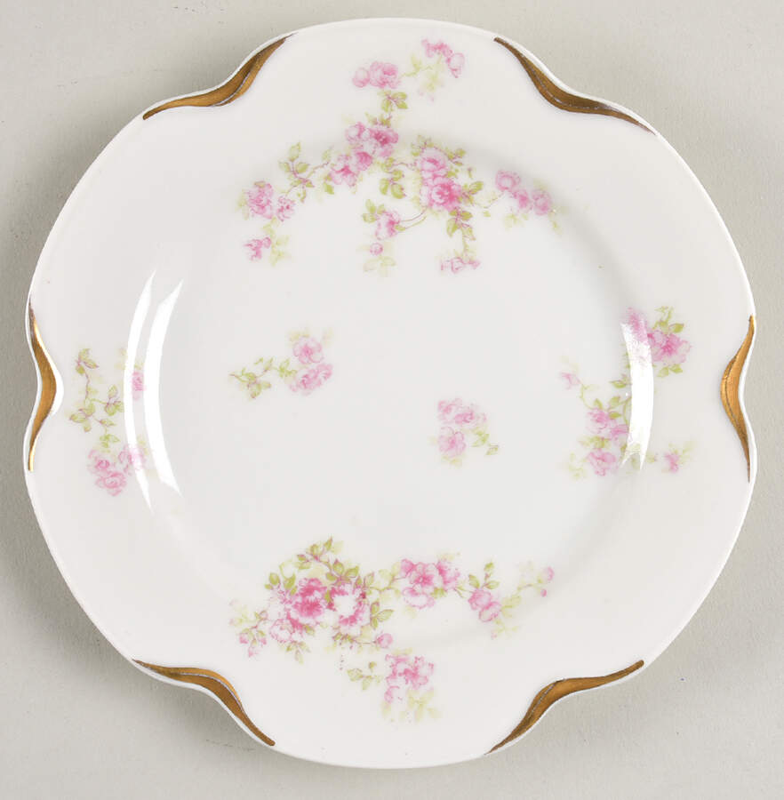 Schleiger 67D Bread & Butter Plate by Haviland-1
