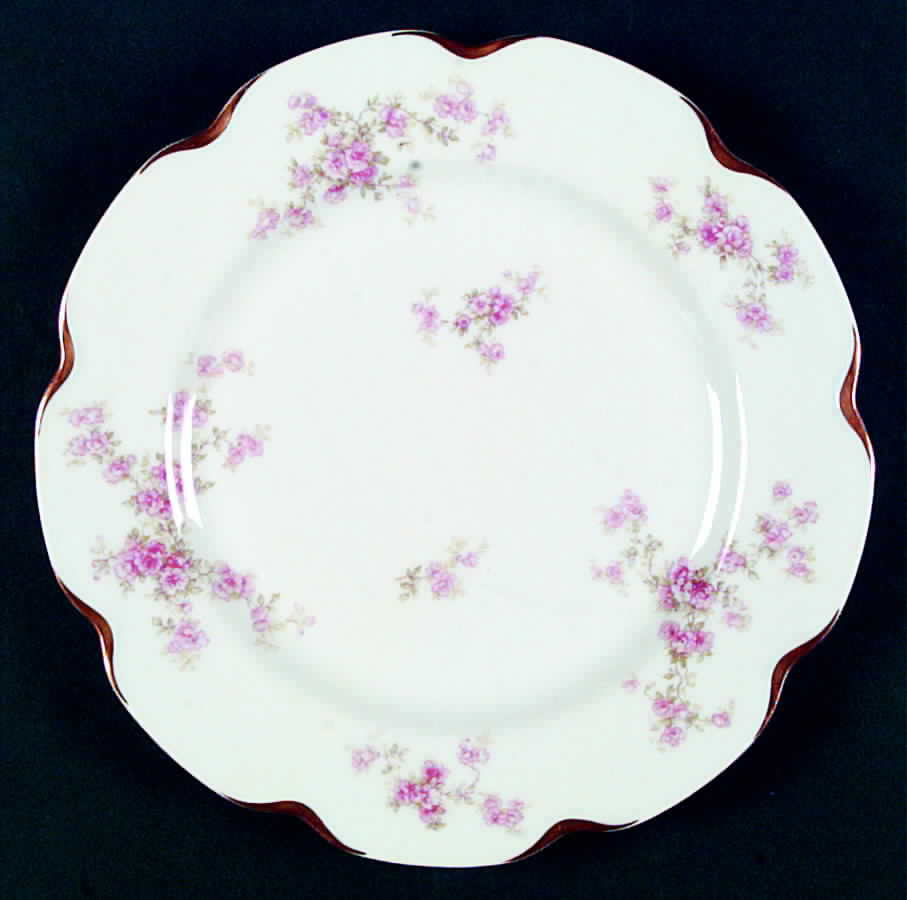 Schleiger 67D Dinner Plate by Haviland-1