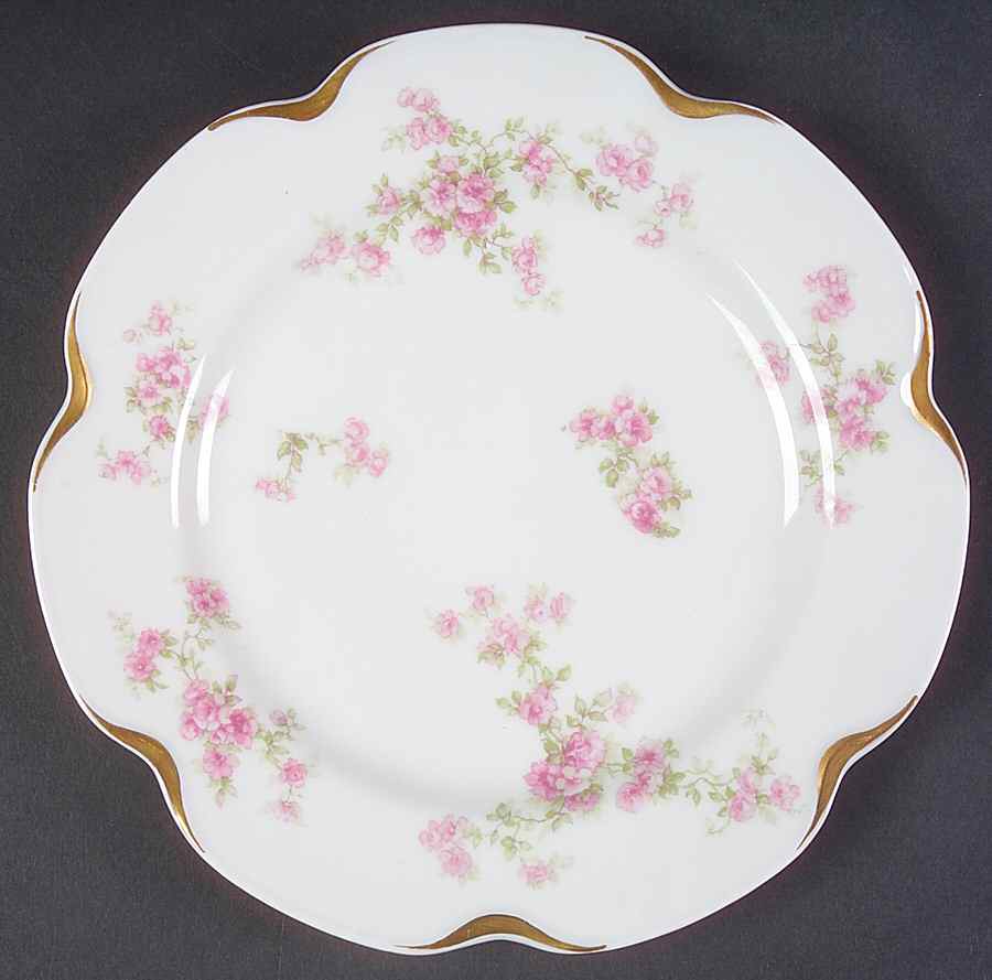 Schleiger 67D Salad Plate by Haviland-1