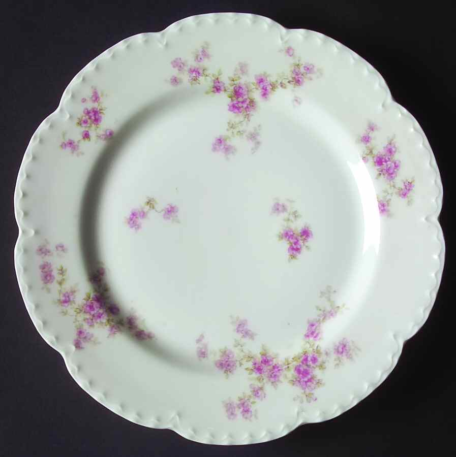 Schleiger 67G Dinner Plate by Haviland-1