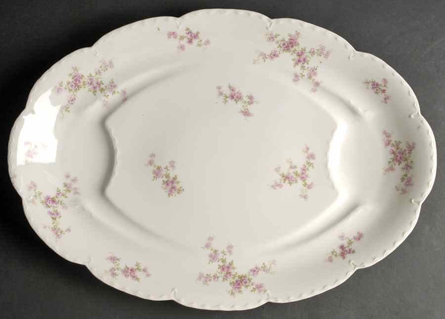 Schleiger 67G 20" Oval Serving Platter by Haviland-1
