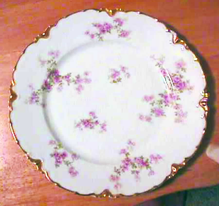 Schleiger 67v Salad Plate by Haviland-1