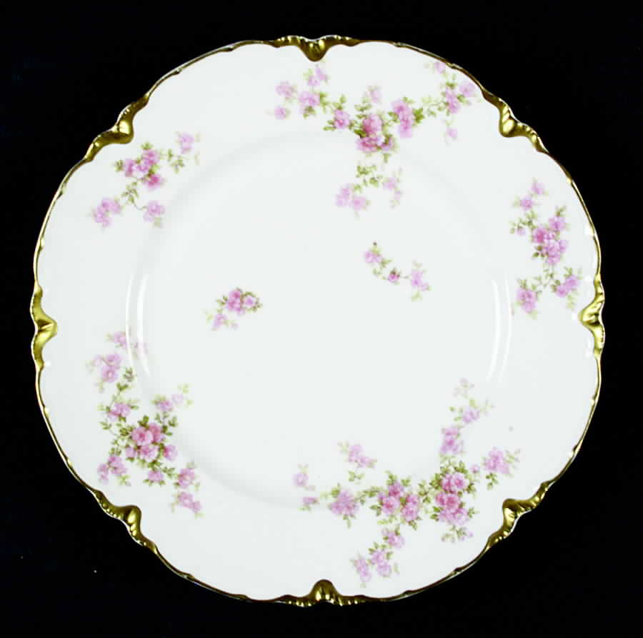 Schleiger 67v Dinner Plate by Haviland-1
