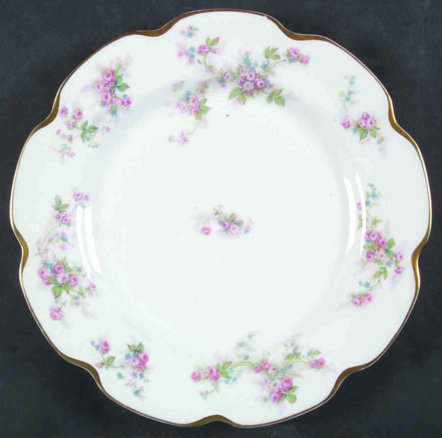 Schleiger 681 Dinner Plate by Haviland-1