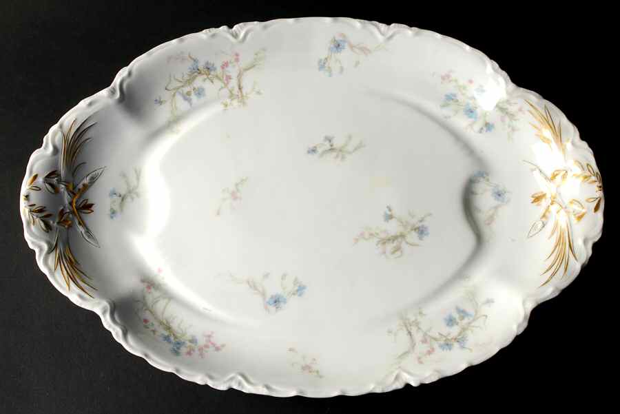 Schleiger 70A 17" Oval Platter with Well by Haviland-1