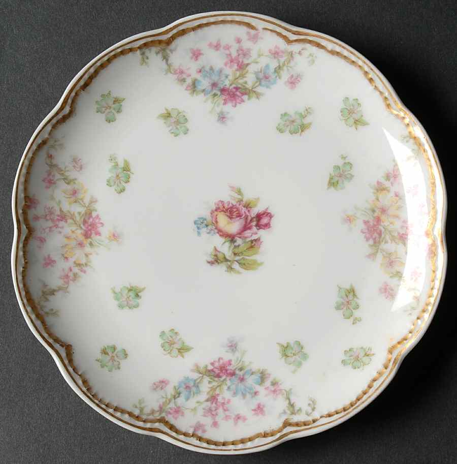 Schleiger 72 Coupe Bread & Butter Plate by Haviland-1