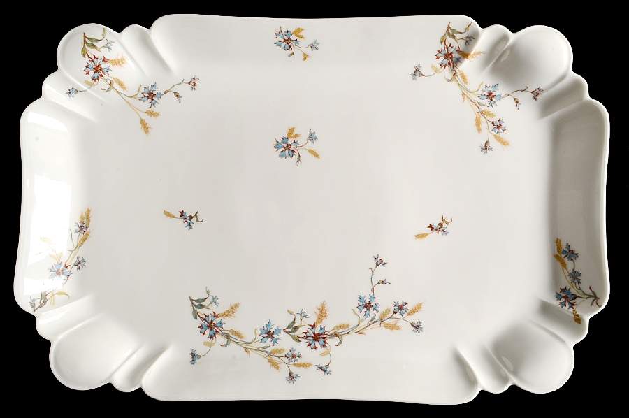 Schleiger 73 18" Rectangular Serving Platter by Haviland-1