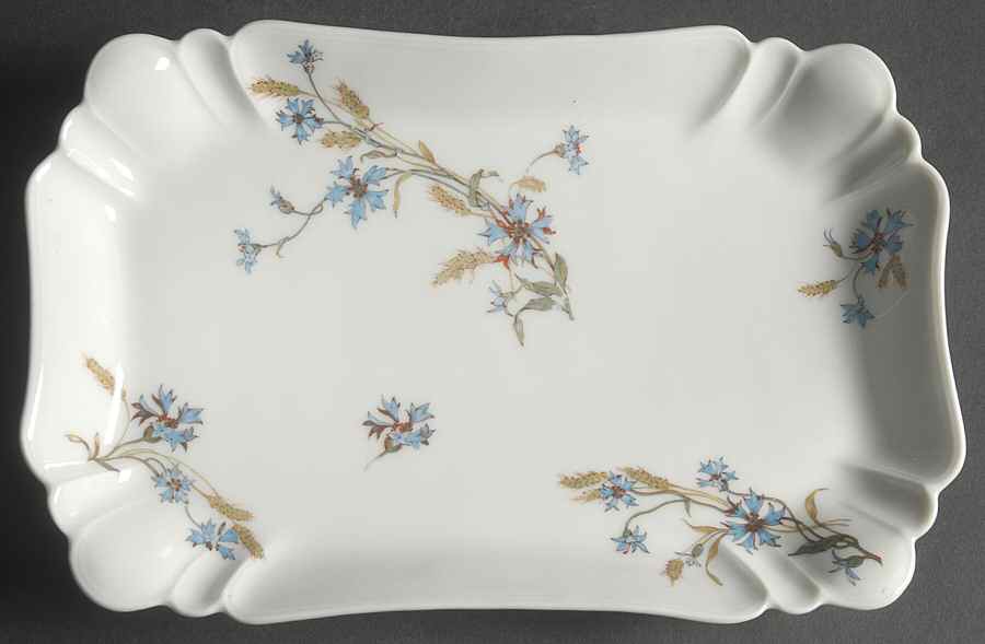 Schleiger 73 10" Rectangular Serving Platter by Haviland-1