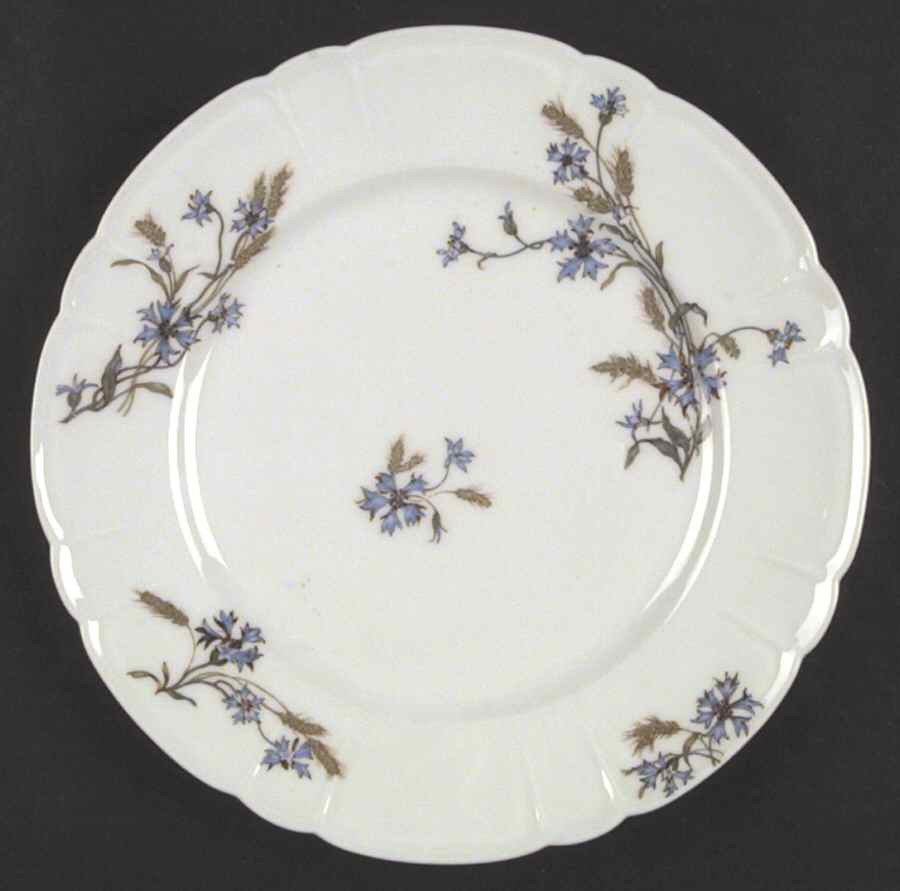 Schleiger 73 Dinner Plate by Haviland-1