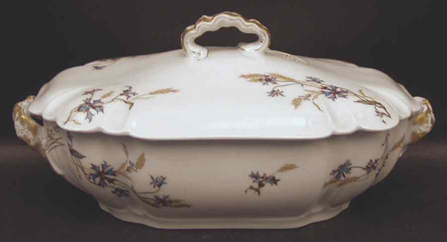 Schleiger 73 Rectangular Covered Vegetable by Haviland-1