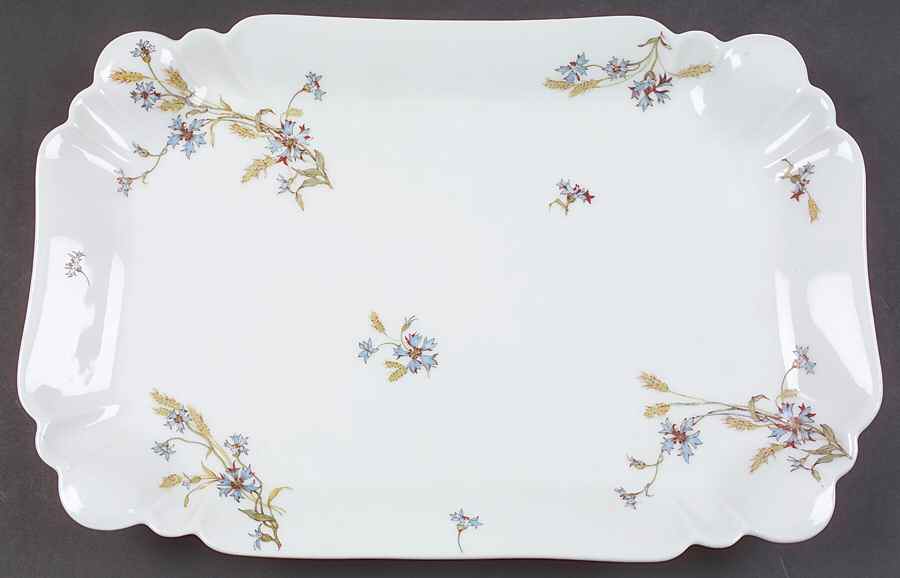 Schleiger 73 14" Rectangular Serving Platter by Haviland-1