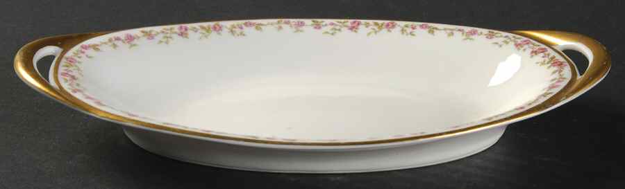 Schleiger 736 Relish by Haviland-1